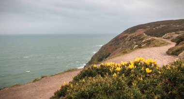 Howth'ta denizi süpürgelik kayalıkta yürüyüş parkuru