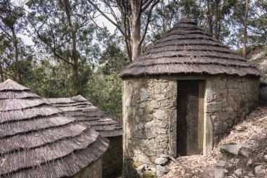 Esposende Castro de Sao Lourenco mimari detay, 