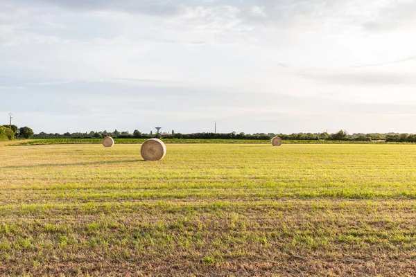 Balle Foin Dans Une Prairie Côté Champ Tournesol Mûr France — Photo