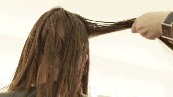 Coiffeur peignage cheveux brin avant de couper dans le salon de coiffure. Fermer coiffeur faisant coupe de cheveux féminine dans le salon de beauté . — Video