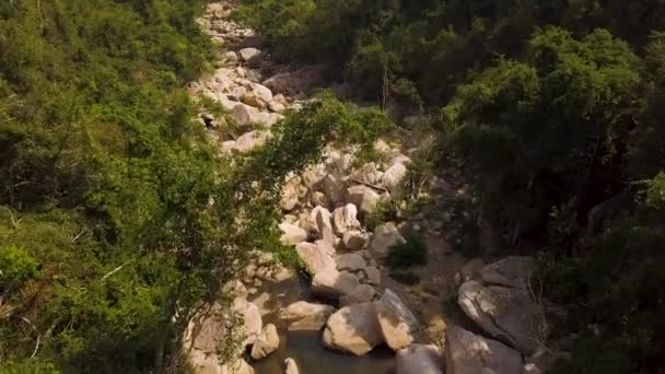 Fiume roccioso e verde bosco paesaggio aereo. Fiume di montagna con grandi pietre drone vista. Paesaggio naturale — Video Stock