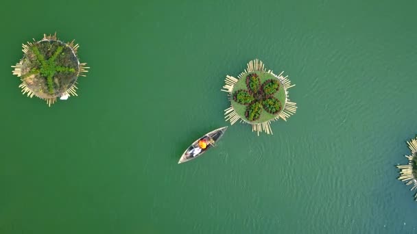 Gente nadando en barcos junto al agua del lago. Macizos de flores flotantes en agua verde. Descanso activo en el agua. Paisaje aéreo del avión no tripulado volador . — Vídeos de Stock
