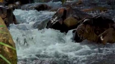 Hızlı nehirde dağ dere su kapatın. Hızlı bir şekilde yokuş aşağı rocky nehirde akan su akışı. Yabani su akışı kabarcıklanma köpük oluşturma.