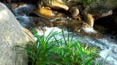 Dağ nehir taşları arasında akan su akışı. Akış akış su nehir ile tabiat manzarası. Hızlı akış ile panoramik vahşi taşlı Nehri.