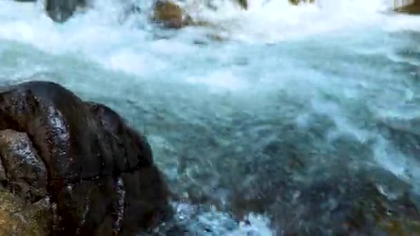 돌 중 물 스트림 흐름입니다. 스토 니 라피 즈와 빠른 산 강 스트림입니다. 비 후 산에서 록 키 강에 물 흐름으로 야생 풍경. — 비디오