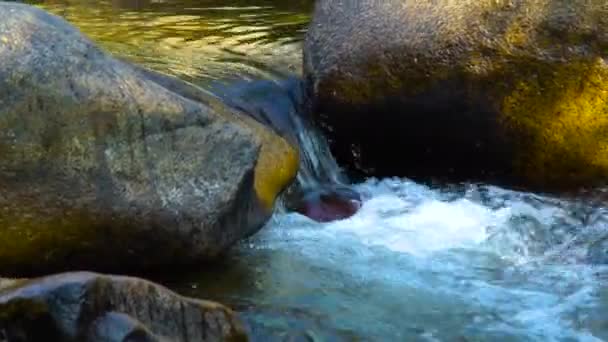 Stream vattenflödet i rocky river i bergen på nära håll. Snabb vatten streamamong stenar i klart floden. Vackra landskap berg riverin vilda natur. — Stockvideo