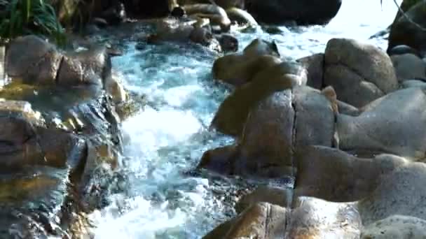 Stream vatten i rapid river i bergen på nära håll. Vattenströmmen snabbt flödande i rocky river. Snabbt flödande vatten ström i mountain river. — Stockvideo