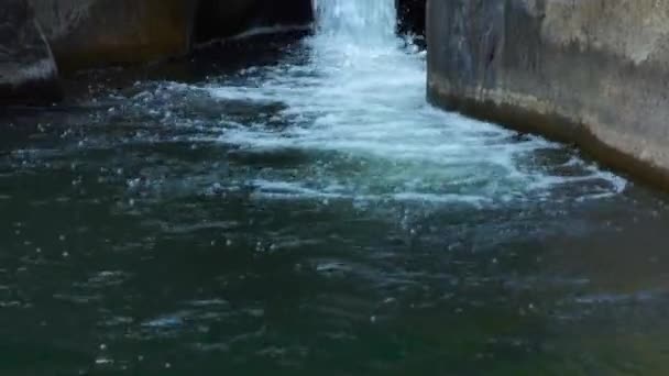 Stream water in mountain river pouring on large stones. Water stream from mountain waterfall quickly flowing in rocky river. Fast flowing stream in mountain. — Stock Video