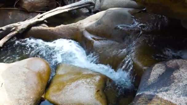 Stream transparant water in snelle rivier berg waterval close-up. Waterstraal snel stroomt in de rocky river. Stroom water gieten op stenen in rivier berg waterval in de jungle. — Stockvideo