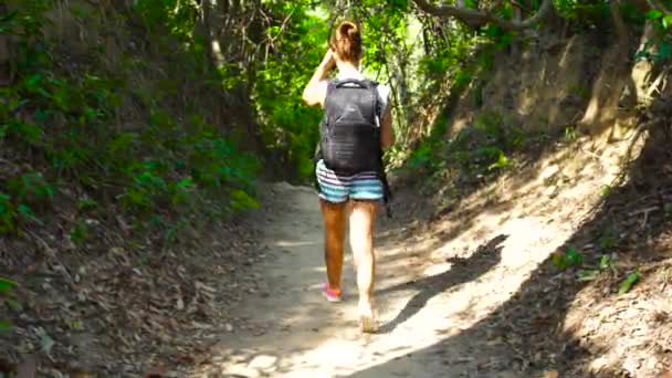 Wanderin mit Rucksack läuft auf Waldweg rückwärts. Touristin auf einem Pfad im Regenwald. Sommerwandern auf Reisen. — Stockvideo