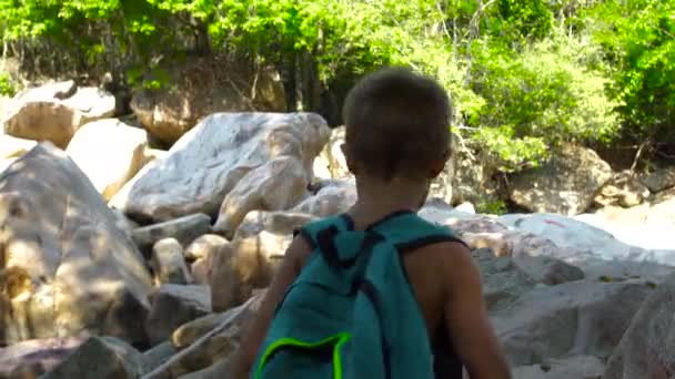 Chico turista caminando sobre un puente de madera sobre un río pedregoso mientras escalaba en las montañas. Chico turista caminando en puente colgante. Senderismo de verano en bosque selvático. Actividades de verano niños . — Vídeo de stock