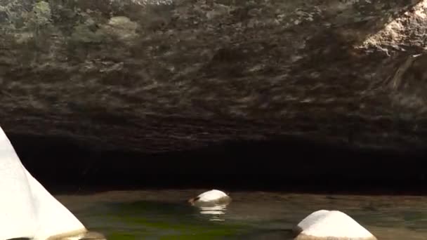 Eblouissement solaire réfléchissant de la surface de l'eau sur la pierre. Éblouissement léger de l'eau sur la roche dans la rivière de montagne . — Video