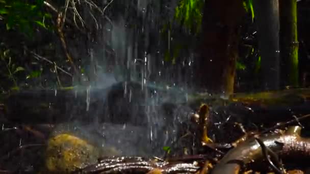 Arroyo de agua que vierte con salpicaduras en el árbol caído de cerca. Flujo de agua de cascada que fluye en el tronco del árbol — Vídeo de stock