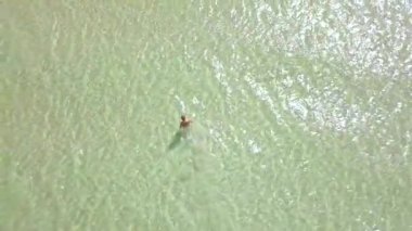 Havadan görünümü açık ve şeffaf deniz suyu bir genç kadın. Turkuaz deniz suyu Lüks Plaj dron görünümünde kadında.