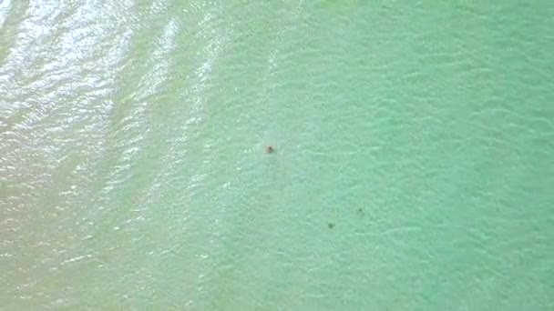 Woman in crystal clear sea water drone view. Woman turning around yourself in transparent sea on paradise beach. Top view from flying drone over turquoise ocean. — Stock Video