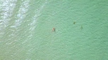 Berrak deniz su dron görünümünde yüzme kadın. Turkuaz deniz suyu Cennet plaj havadan görünümü uçak uçan üzerinden üzerinde yüzme kadın.