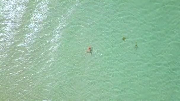 Kobieta, kąpiel w krystalicznie czyste morze woda drone. Kobieta kąpiel w wodzie turkus morza na paradise beach ptaka z latanie drone. — Wideo stockowe