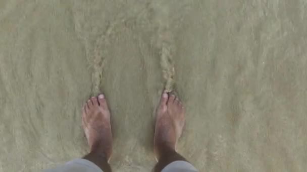 男性腿在短裤站立在沙子和波浪的海水观点。在海浪和湿沙子顶部的男性脚. — 图库视频影像
