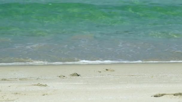Vagues de mer sur une plage de sable fin. Au ralenti. vagues de mer d'eau transparente sur la plage paradisiaque gros plan .