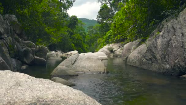 Stream schoon water in de rivier stroomt tussen grote stenen en keien. Groen regenwoud en stenige rivier in jungle. — Stockvideo