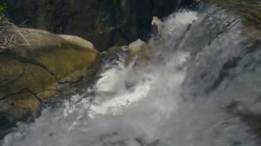 Hızlı Nehri akan yağmur ormanında. Akış dağ şelale büyük taşları üzerine akan nehirden.