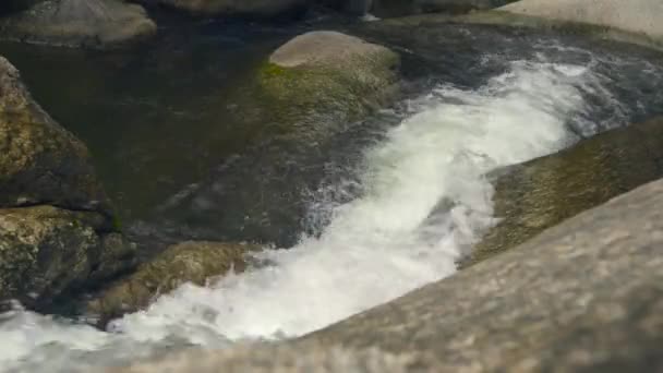 Berg flod som rinner i tropisk skog. Stream flodvatten från vattenfall som flödar på stora stenar. — Stockvideo
