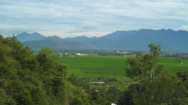 Tarım pirinç siluetleri mavi gökyüzü arka plan üzerinde alan ve dağlar. Greenpaddy alanları ve dağ manzarası