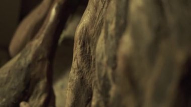 İspanyol Ulusal incelik humbug Iberico kapatın. Geleneksel peynir domuz jambon serrano kurumuş. İspanya et tavla. Jamon serrano.