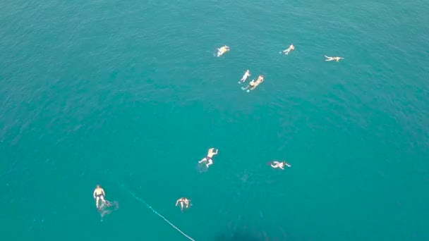 Άνθρωποι κολύμπι στα τιρκουάζ θάλασσα νερό Αεροφωτογραφία. Το Top view άνθρωποι κολύμβησης στο νερό μπλε του ωκεανού. Τοπίο από το ιπτάμενο drone τουριστικά ψαροντούφεκο στα νερά της λιμνοθάλασσας στη θάλασσα. — Αρχείο Βίντεο