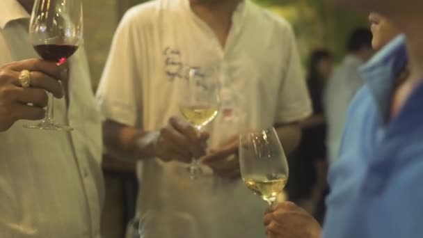 Gente que clica copos com vinho e brinde na festa do evento. Pessoas bebendo vinho tinto e branco da vinícola na festa . — Vídeo de Stock