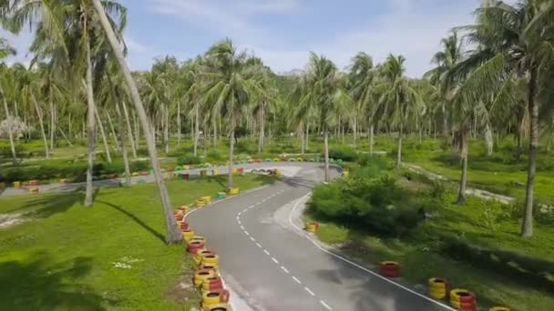 Vue aérienne piste de course de chariot parmi les palmiers verts le jour de l'été. Piste de course vue par drone pour le karting en plein air, paysage de palmiers verts . — Video