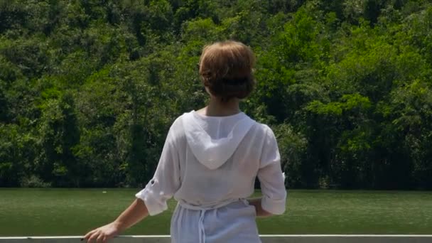 Jeune femme debout sur le pont de la rivière et la montagne couvert de forêt verte sur le fond. Fille appréciant le lac et le paysage de montagne vert, vue arrière . — Video