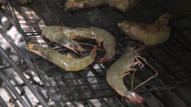 Camarões na churrasqueira enquanto piquenique perto. Carne de churrasco de camarões em grelha em fogo e carvão. Conceito de cozinha de comida marinha ao ar livre . — Vídeo de Stock