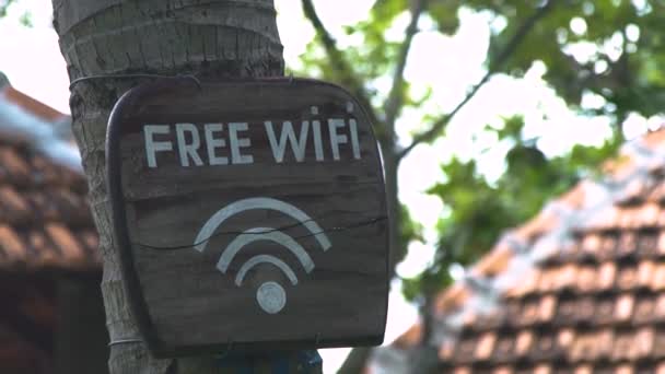 Close up Holzschild Inschrift free wi fi auf Baumstamm im Sommerpark. Kostenloses Wi-Fi-Holzschild am Baum im Stadtpark. Online-Kommunikation und drahtloses Internet für mobiles Gerät im Freien. — Stockvideo