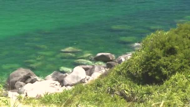 Křišťálově čisté vody a skalnaté pobřeží na zeleném ostrově v moři. Průhledné moře a skály na pobřeží zeleného ostrova. — Stock video