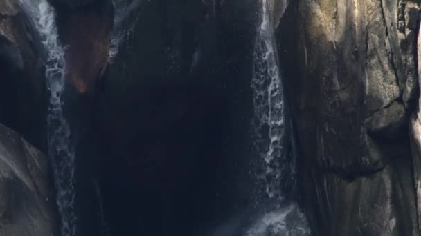 瀑布在山林中飞溅。在热带丛林中的山瀑布中流动水。雨林中流淌的石质河流的水. — 图库视频影像