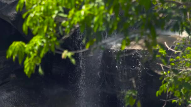 Wasser fließt in Gebirgswasserfall im Regenwald und grünen Bäumen Hintergrund. Wasserfall in den Bergen und grüne tropische Pflanzen in tropischen Wäldern. Wasserfluss aus felsigem Fluss. — Stockvideo