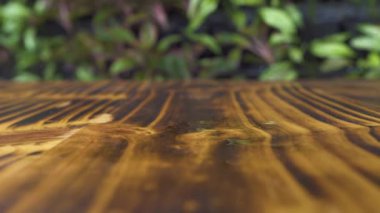 Ahşap masanın üzerine düşen yeşil fesleğen yaprakları kapatın. Ahşap arka plan üzerinde taze fesleğen otlar. Pizza, makarna, pesto, sebze salatası hazırlık sos için madde baharat. Çeşni, aromatik