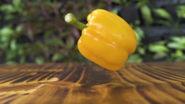 Yellow bell pepper falling on wooden table. Slow motion vegetable falling on kitchen table. Close up food background. Vegetarian healthy diet and organic nutrition. Ingredient for vegetarian salad. — Stock Video