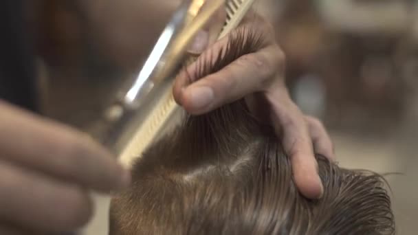 Coiffeur peigner et couper les cheveux mouillés avec des ciseaux de coiffeur dans le salon masculin gros plan. Enfants coupe de cheveux avec des ciseaux à cheveux. Coiffure de petit garçon au salon de coiffure. Concept de coupe de cheveux enfant . — Video