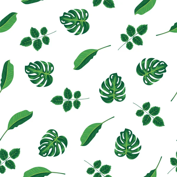 Patrón de hojas verdes tropicales de plantas, palmeras y árboles sobre fondo blanco. Patrón sin costura verde follaje árbol monstera, fondo natural. Plantas exóticas de la selva tropical, flora y concepto de naturaleza .. — Vector de stock