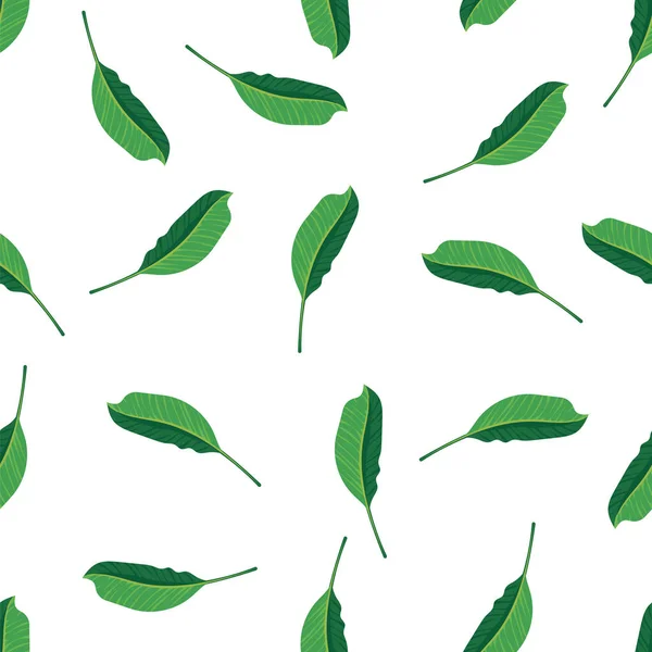 Patrón de follaje verde de plantas tropicales sobre fondo blanco. Patrón hojas verdes fondo sin costuras. Flora de la selva tropical exótica, plantas naturales patrón sin costura . — Vector de stock