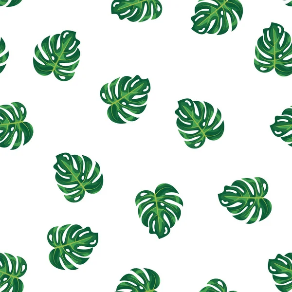 Beyaz Model arka plan üzerinde yeşil yaprakları tropikal bitki ve ağaç. Yeşil yeşillik monstera ağaç Dikişsiz desen arka plan. Egzotik rainforest bitki bitkiyi ve orman Bahçe. — Stok Vektör