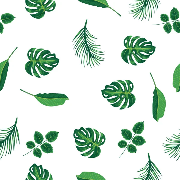 Gebladerte patroon van groene tropische plant, palm en boom op witte achtergrond. Patroon groene bladeren monstera boom, natuurlijke naadloze achtergrond. Exotische regenwoudplanten, flora en natuur concept. — Stockvector