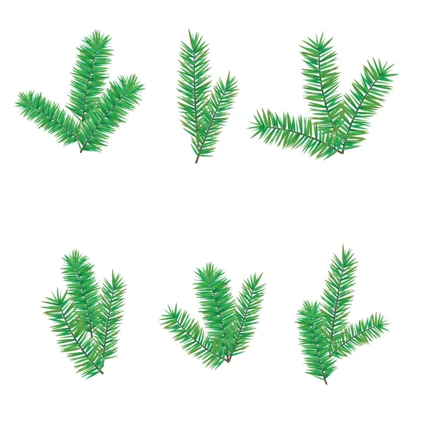 Árvore branchesfir verde para Feliz Natal ou Feliz Ano Novo decoração. Ramos perenes coníferas, árvores de diferentes formas isoladas sobre fundo branco . — Vetor de Stock