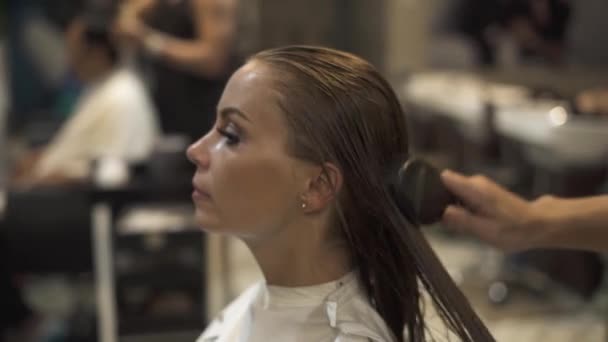 Parrucchiere spazzolatura capelli bagnati di bella donna prima acconciatura in studio di bellezza. Parrucchiere pettinando capelli femminili con pettine dopo essersi lavato in salone di parrucchiere. Bellezza e stile femminile . — Video Stock