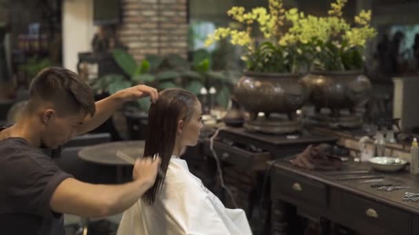 Man Haarstylist borstelen natte haren voordat vrouwelijke kapsel in de schoonheidssalon. Kapper vrouwelijke haren kammen met kam voor het snijden in de kapsalon. Schoonheid en verzorging concept. — Stockvideo