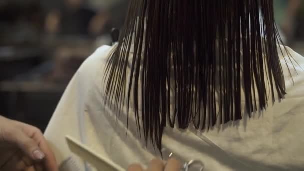 Vrouw kapsel close-up. Hairdresse snijden haren met een schaar van de kapper in de schoonheidssalon. Haarstylist doen vrouwelijke kapsel in de kapsalon. Schoonheid en stijl concept. — Stockvideo