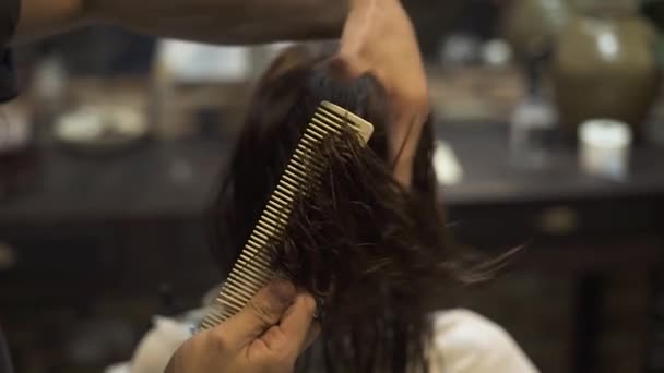 Hairdresser combing wet hair while haircut with barber scissors in beauty studio. Hairstylist using scissors and comb cutting hair in hairdressing salon. Professsional female haircut and hairstyling.