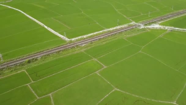 空中撮影田んぼと村の鉄道。アジアの田舎で緑米のプランテーションの労働者は空撮。農業。農業と農業の概念. — ストック動画